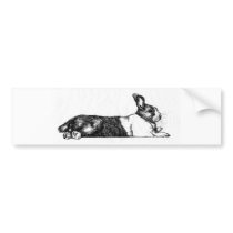 Lance the Unamused Bunneh Bumper Stickers
