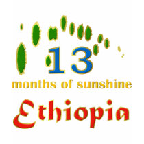 Land of 13 months of sunshine t-shirts