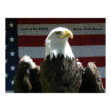 Land of the Free Poster posters
