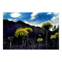 Land of the Giants Print