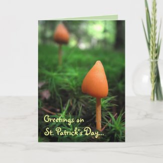 Land of the Little People: St. Patricks Day Greeting Card