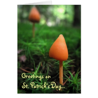 Land of the Little People: St. Patricks Day