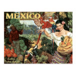 Land of Tropical Splendor Post Card