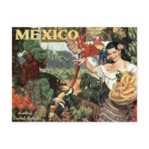 Land of Tropical Splendor Post Card