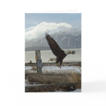 Landing Eagle Card