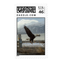 Landing Eagle Postage Stamp