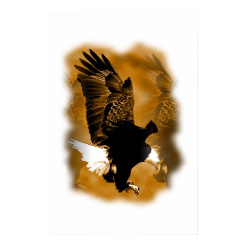 Landing Eagle Poster Print - Eagle Posters print