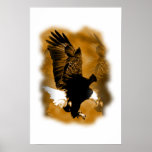 Landing Eagle Poster Print - Eagle Posters
