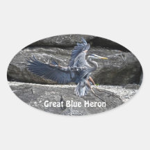 Landing Great Blue Heron Wildlife Birdlover Photo Stickers