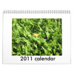 landscape, 2011 calendar