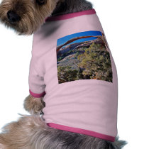 Landscape Arch At Arches National Park pet clothing by lifesphere Landscape Arch At Arches National Park pet clothing