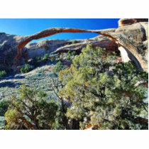 Landscape Arch At Arches National Park photo sculptures by lifesphere Landscape Arch At Arches National Park photo sculptures