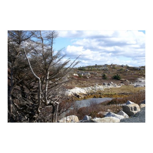 Landscape at Peggy's Cove print