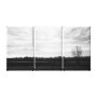 landscape wrappedcanvas