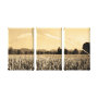 landscape wrappedcanvas