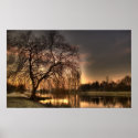 Landscape Canvas Print