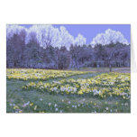 Landscape Daffodil Card
