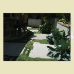Landscape, Garden and Plant Images cards