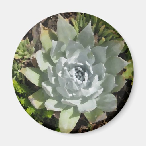 Landscape, Garden and Plant Images Magnet