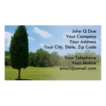 Landscape Gardener land management business cards