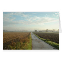 Landscape Mannheim 1 cards