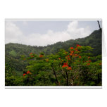 Landscape of Puerto Rico Cards