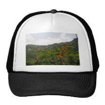 Landscape of Puerto Rico Mesh Hats
