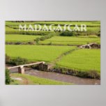 Landscape of rice plantations in Madagascar posters
