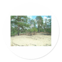 Landscape of the taiga stickers by uniuni42 Landscape of the taiga stickers