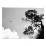 landscape photoenlargement