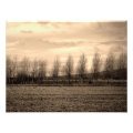 landscape photoenlargement