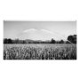 landscape photoenlargement