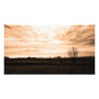 landscape photoenlargement