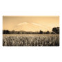 landscape photoenlargement