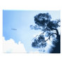 landscape photoenlargement