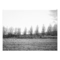 landscape photoenlargement