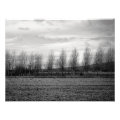 landscape photoenlargement