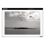 landscape decal for laptop 