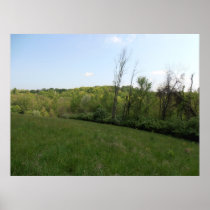 Landscape view Poster posters