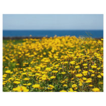 Landscape with daisies custom flyer