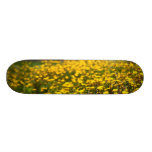 Landscape with daisies skate board