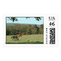 Landscape with Horses postage