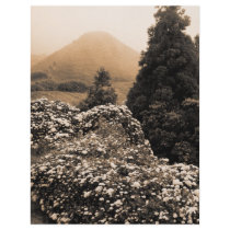 Landscape with hydrangeas full color flyer
