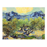 Landscape with olive Trees by Vincent van Gogh Postcard