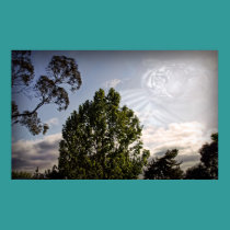 Landscape with tiger background, poster posters