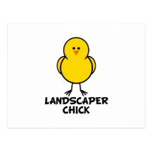 Landscaper Chick Postcard