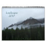 Landscapes 2010