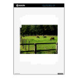 Landscapes and Horses Decal For The iPad 2