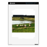 Landscapes and Sheep iPad 3 Skins