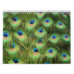 Landscapes, Patterns, Bursts of Color Wall Calendars